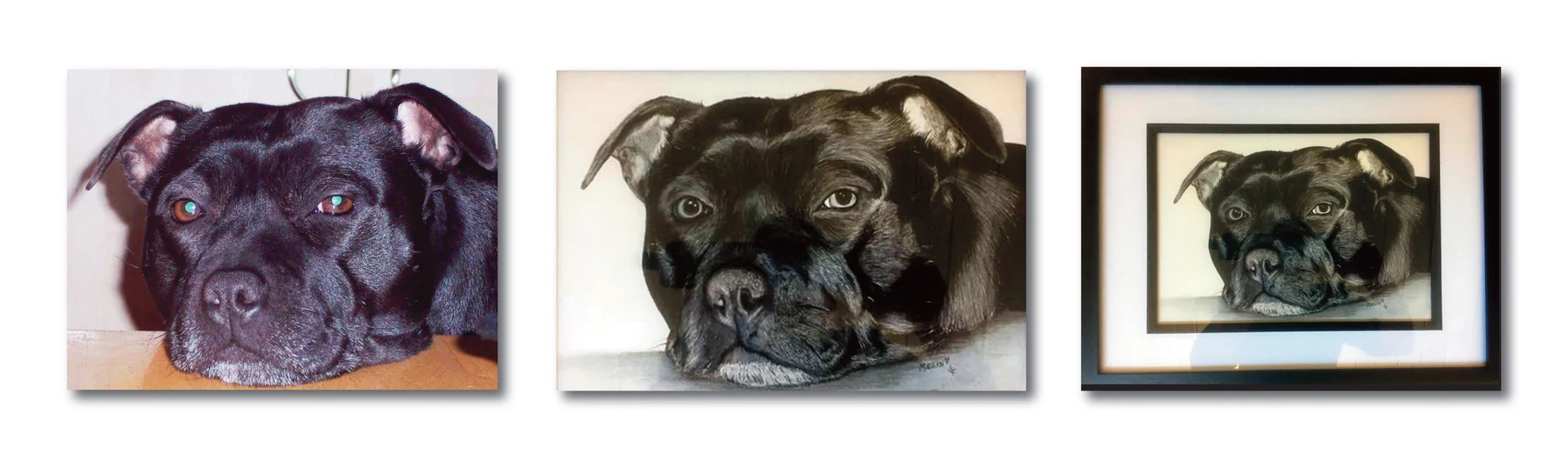Pet portrait gallery image for Megan by Jamie Lee Francis