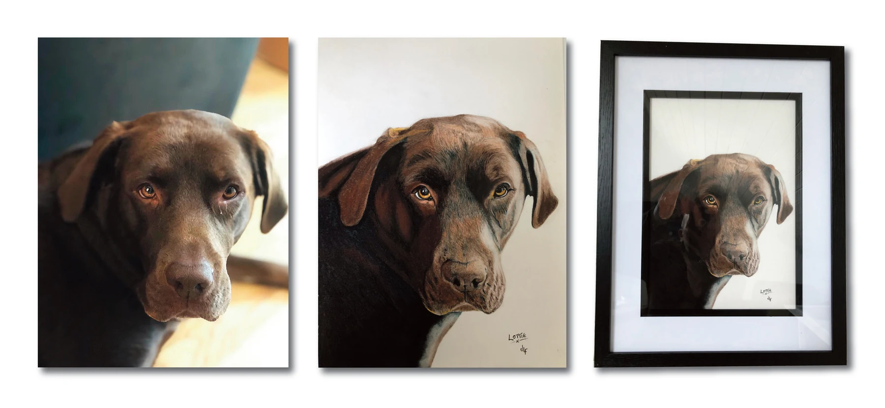 Pet portrait gallery image for Lottie by Jamie Lee Francis
