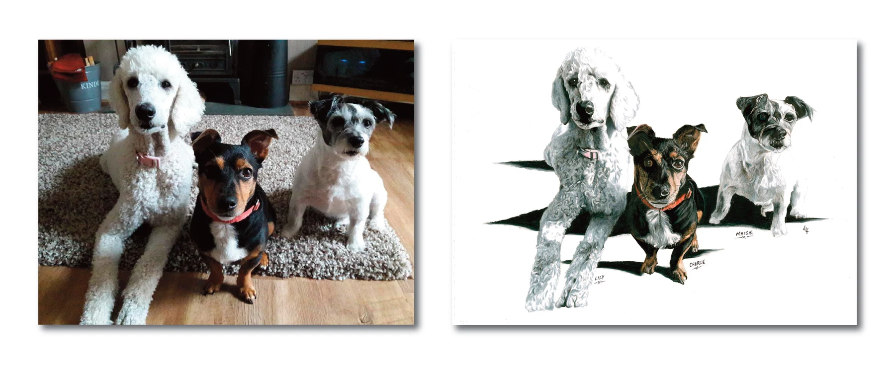 Pet portrait gallery image for Lily, Charlie & Maisie by Jamie Lee Francis