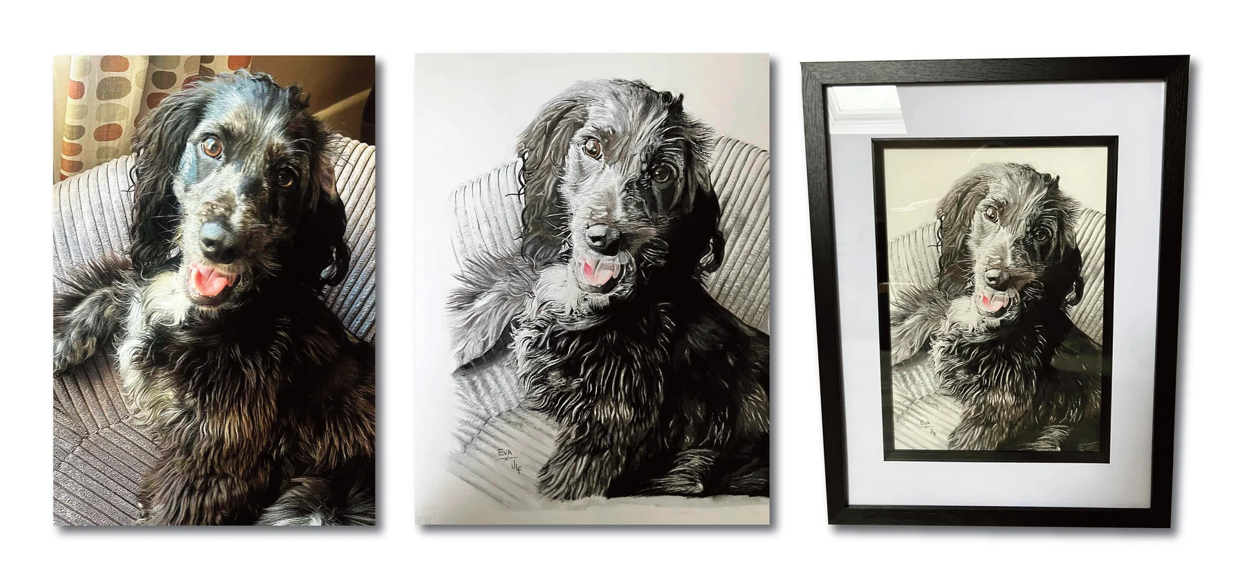 Pet portrait gallery image for Eva by Jamie Lee Francis