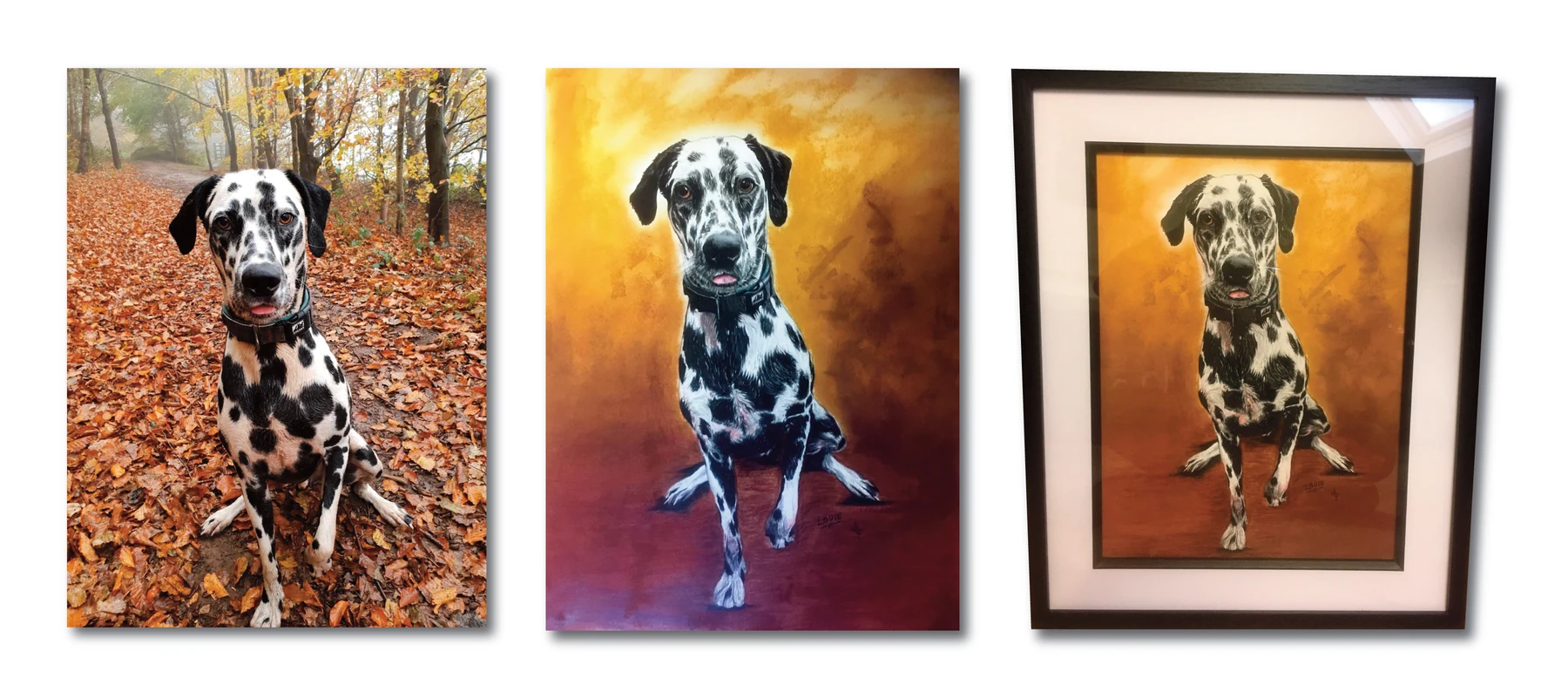 Pet portrait gallery image for Louie by Jamie Lee Francis