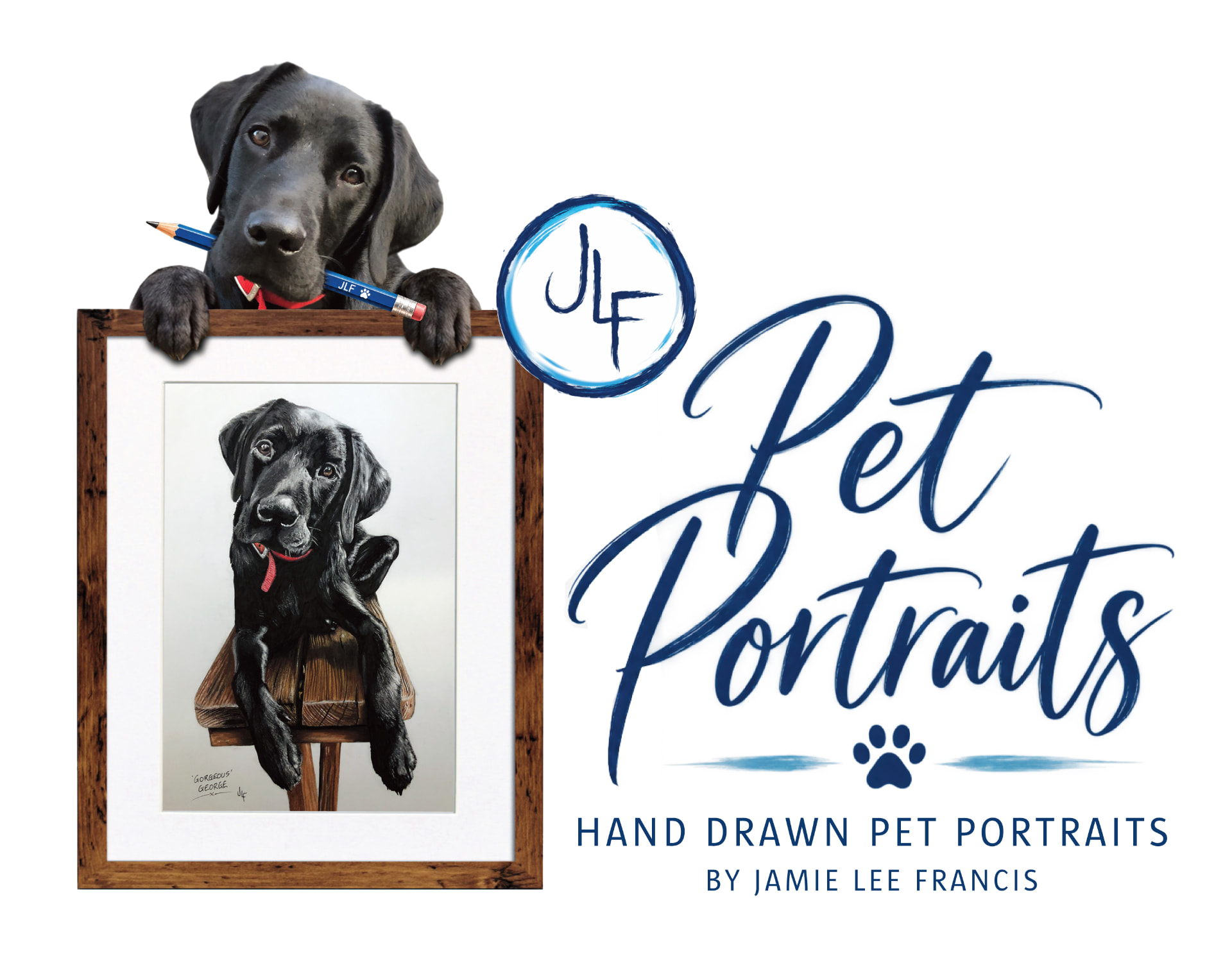 JLF Pet Portraits, featuring George with Jamie's hand-drawn portrait artwork