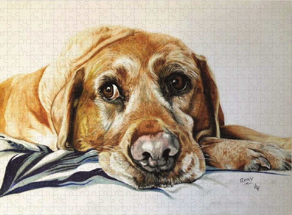Hand-drawn portrait of Roxy the Labrador made into a 500 piece jigsaw puzzle