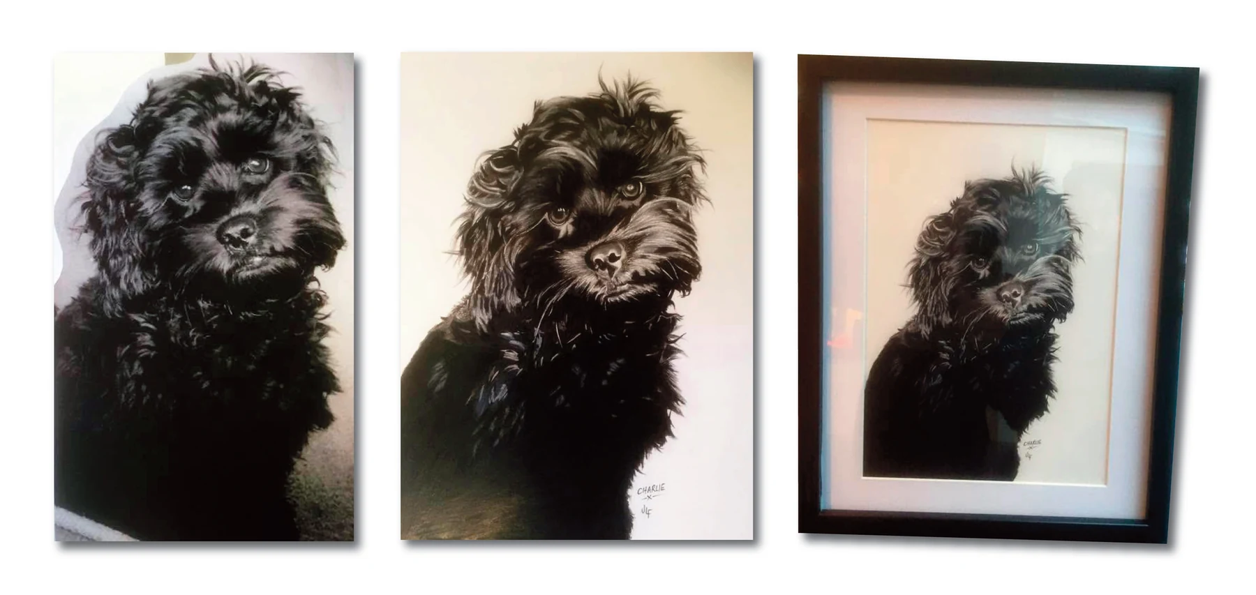 Pet portrait gallery image for Charlie by Jamie Lee Francis