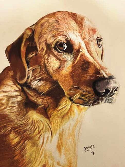 Jamie Lee Francis' hand-drawn portrait of Bentley