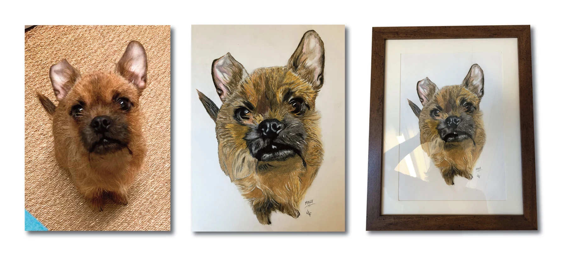 Pet portrait gallery image for Molly by Jamie Lee Francis