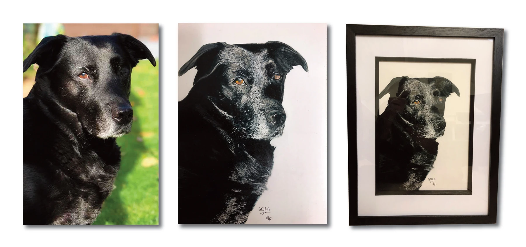 Pet portrait gallery image for Bella by Jamie Lee Francis