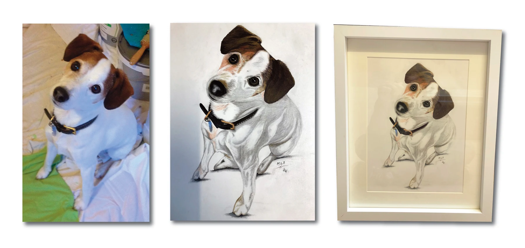 Pet portrait gallery image for Milo — Puppy by Jamie Lee Francis