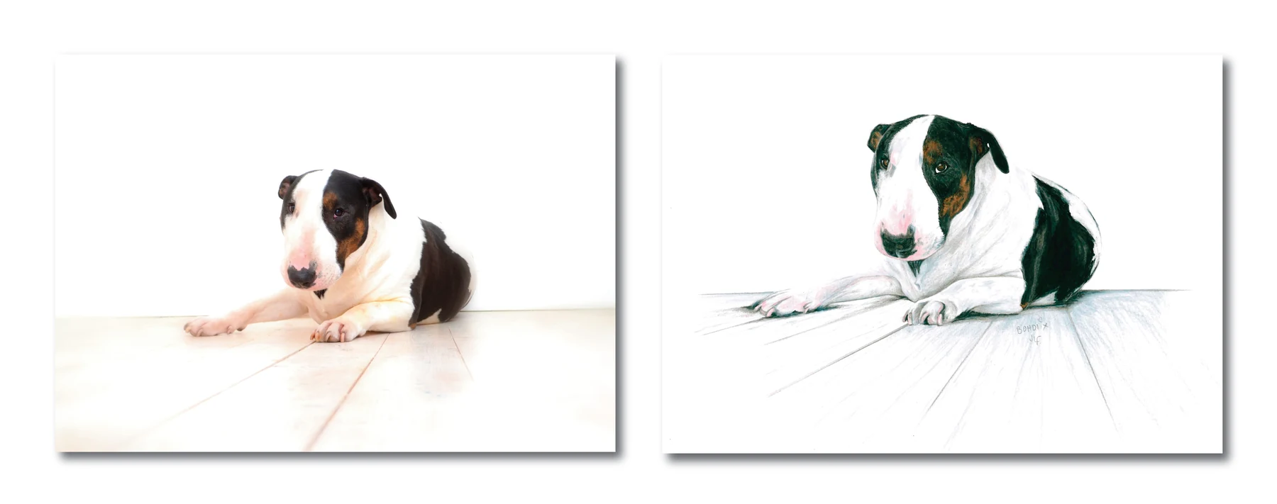 Pet portrait gallery image for Bodhi by Jamie Lee Francis