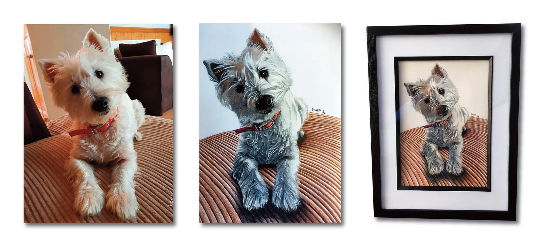 Pet portrait gallery image for Gunner by Jamie Lee Francis