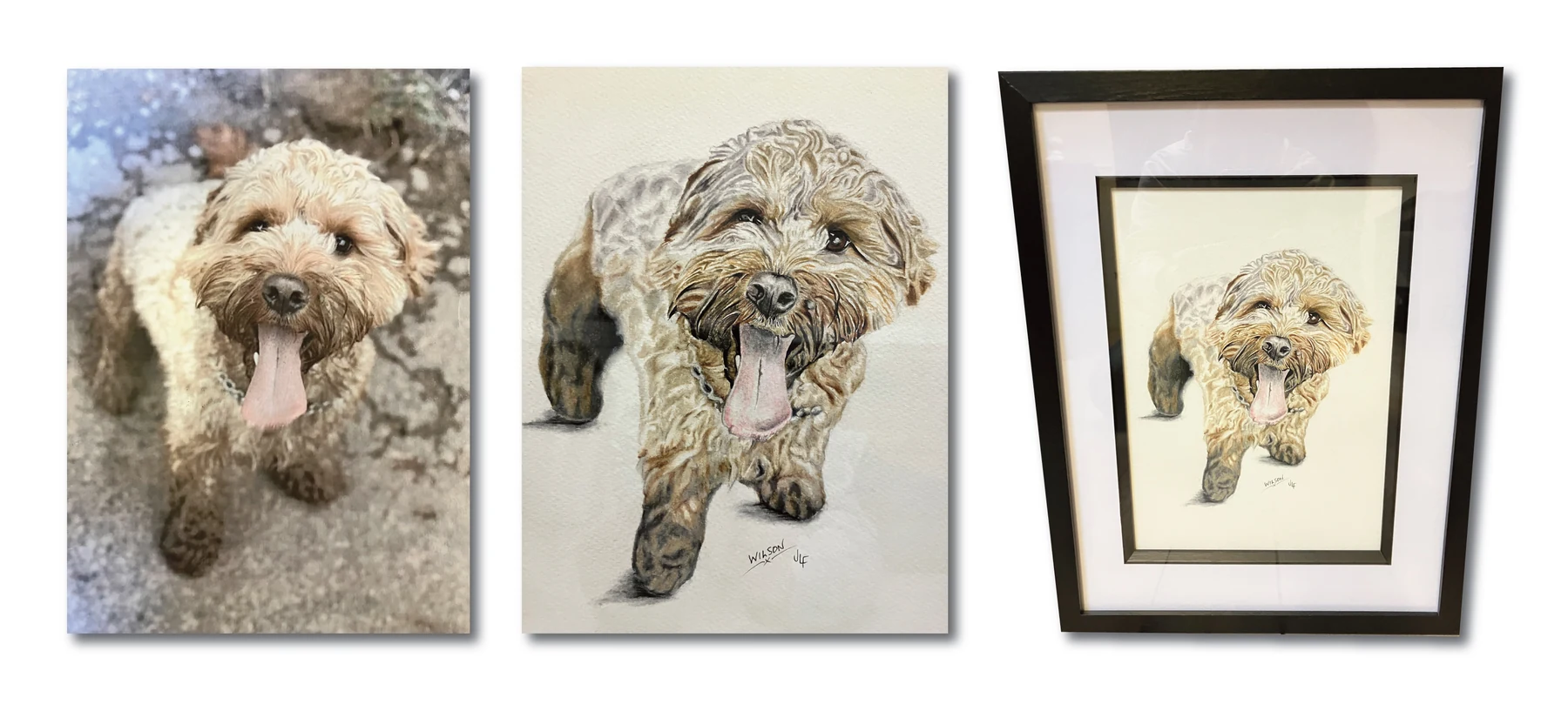 Pet portrait gallery image for Wilson by Jamie Lee Francis