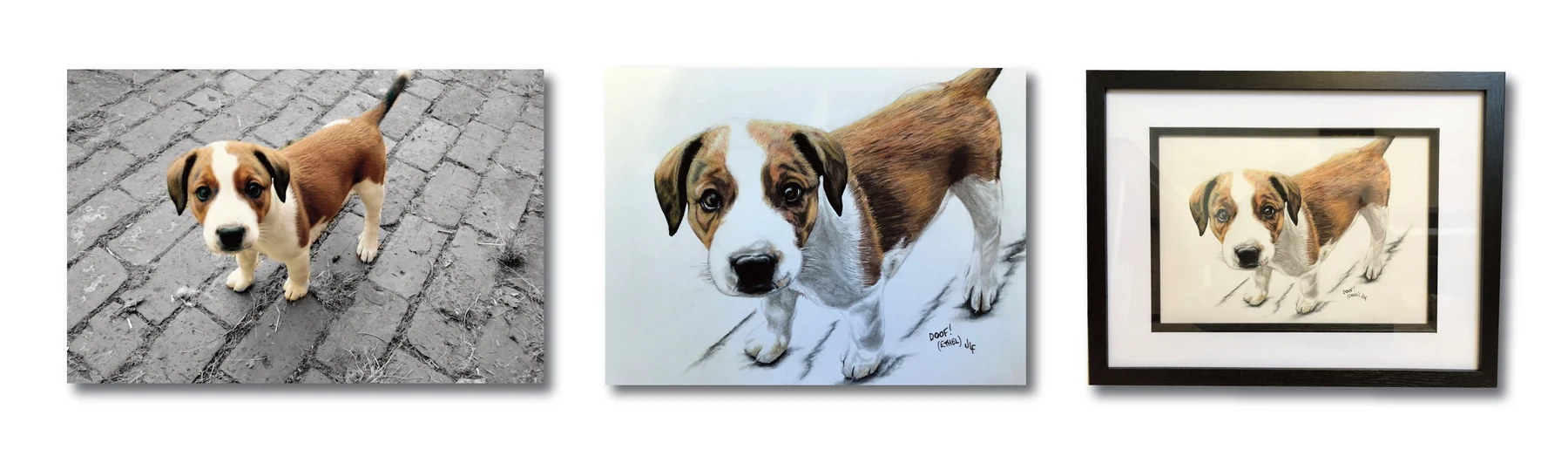 Pet portrait gallery image for Doof by Jamie Lee Francis