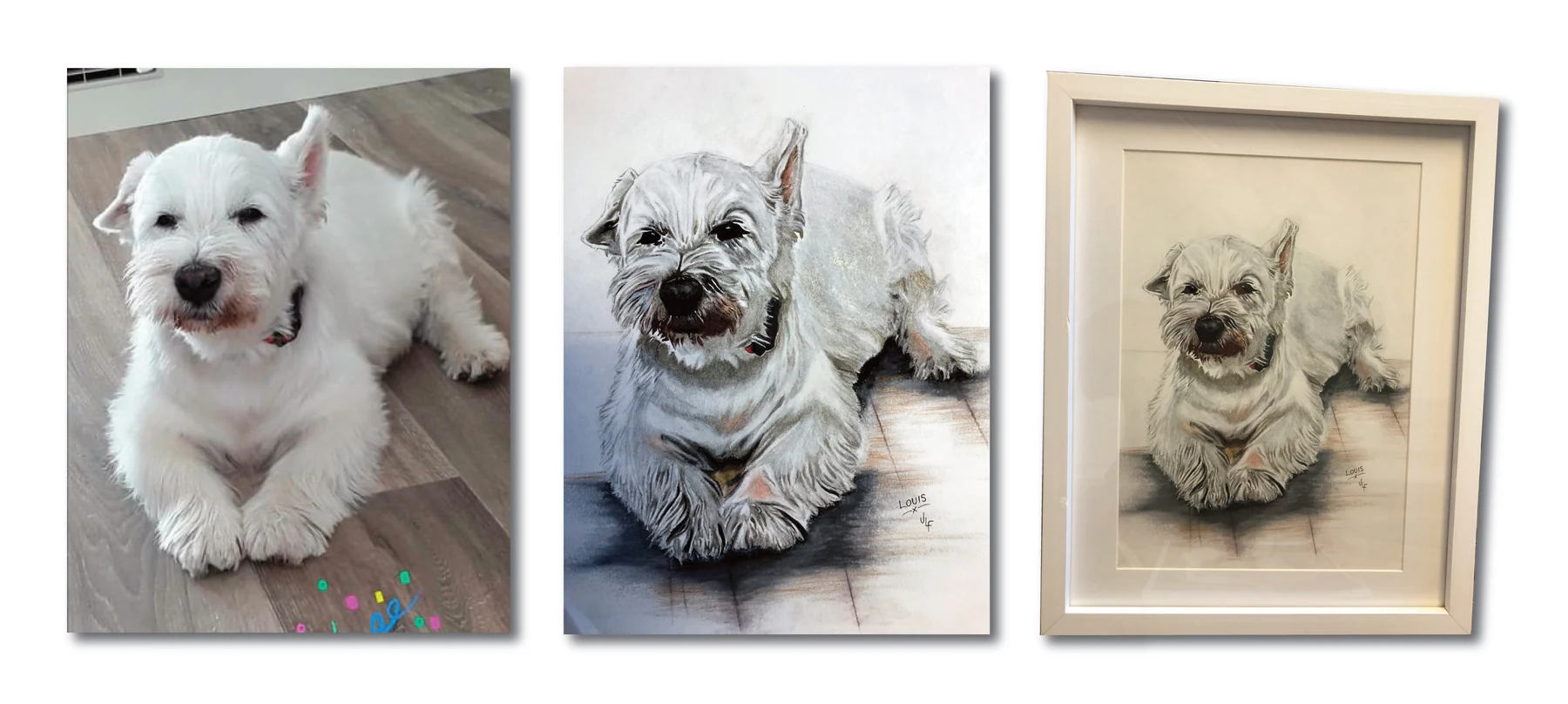 Pet portrait gallery image for Louis by Jamie Lee Francis