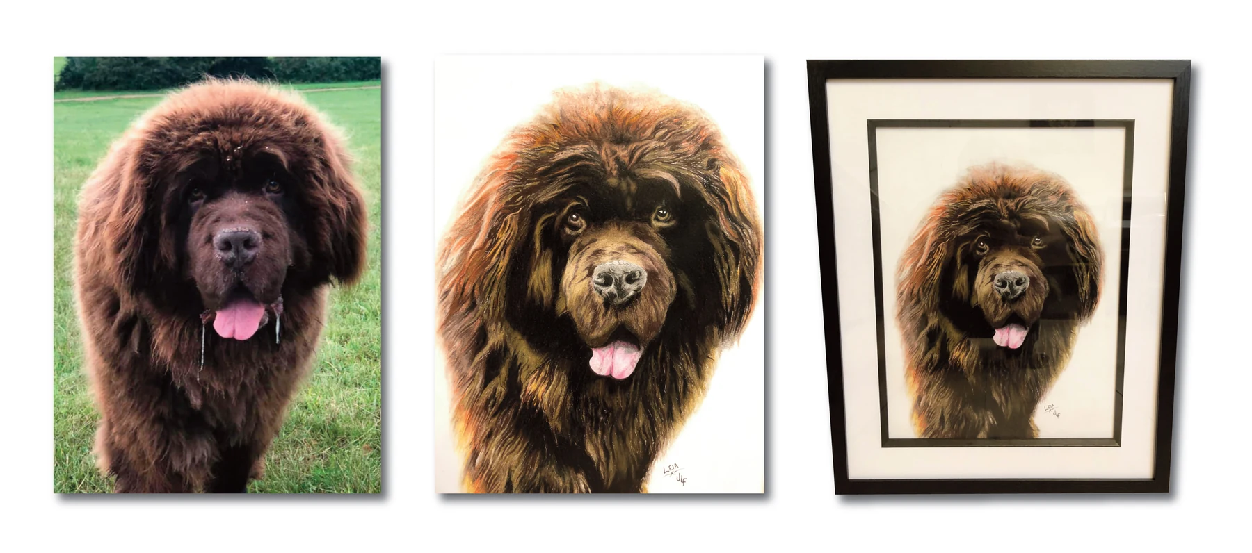 Pet portrait gallery image for Leia by Jamie Lee Francis