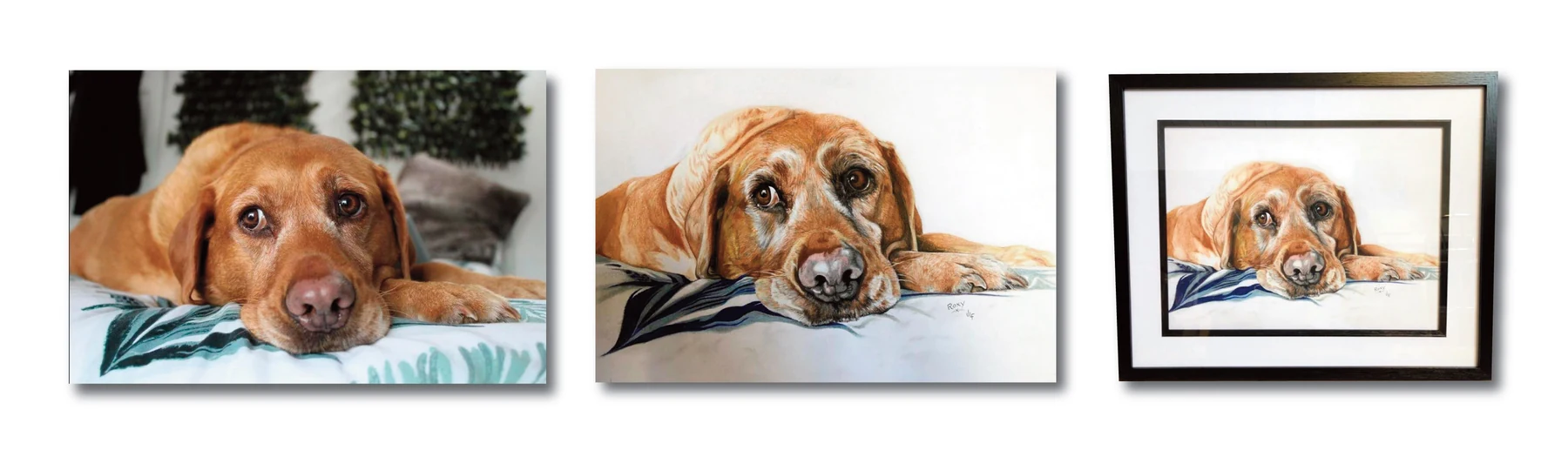 Pet portrait gallery image for Roxy by Jamie Lee Francis