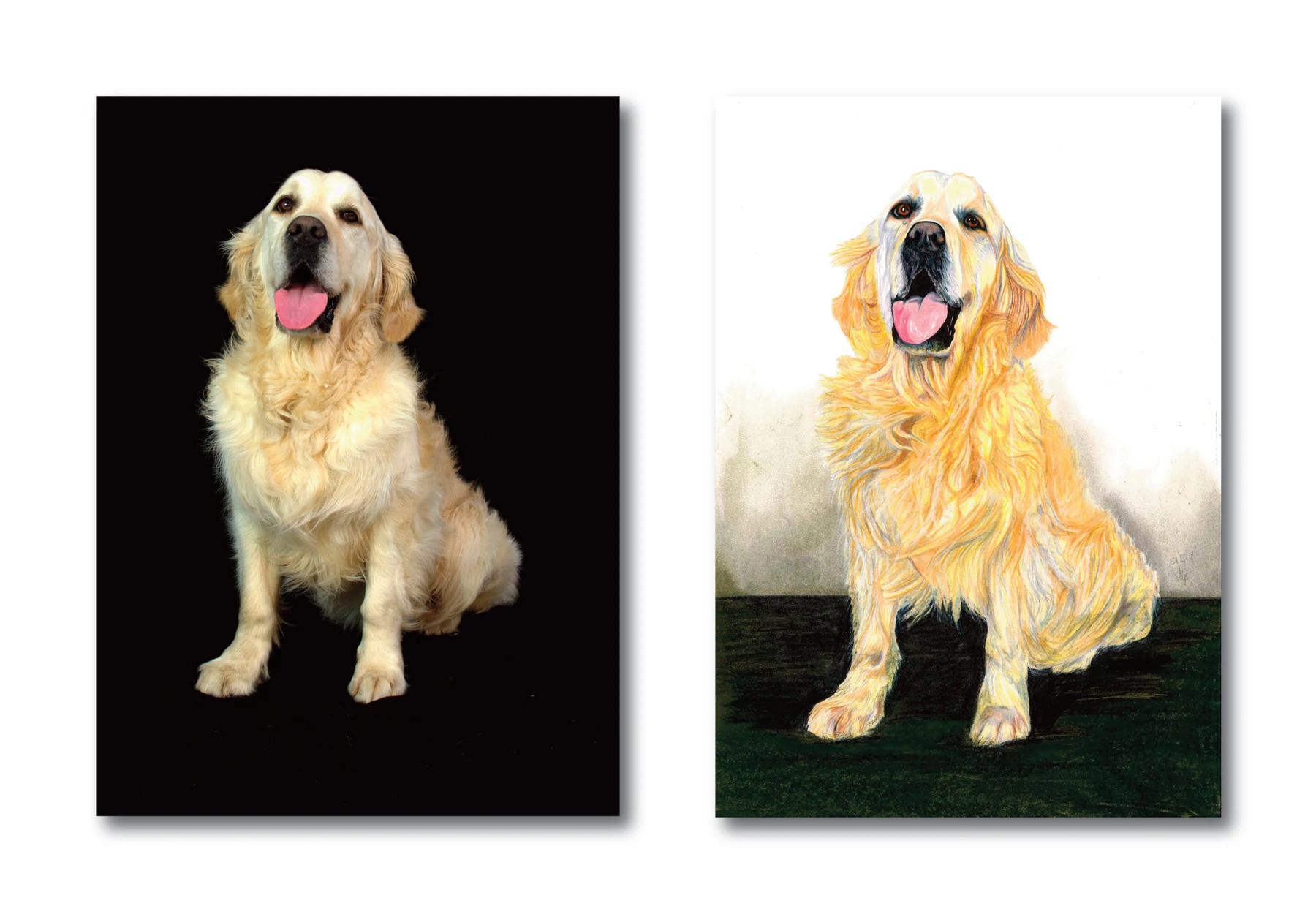 Pet portrait gallery image for Sid by Jamie Lee Francis